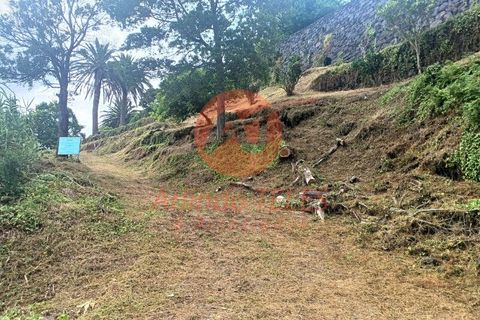 Terra a Calheta, Sao Jorge, Calheta - € 25.000 | Ref: T1025 - foto 2