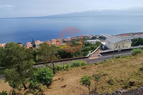 Terra a Calheta, Sao Jorge, Calheta - € 25.000 | Ref: T1025 - foto 4