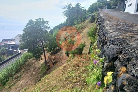 Terra a Calheta, Sao Jorge, Calheta - € 25.000 | Ref: T1025 - foto 5