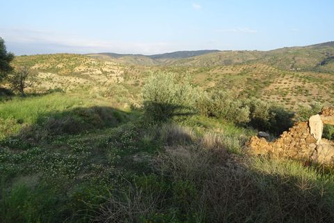 Landejendom i Lobras, Granada, Lobras - € 295.000 | Ref: Cortijo Teja - foto 17