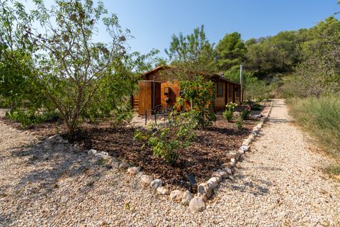 Finca i Miravet, Tarragona, Miravet - € 325.000 | Ref: 264 - foto 44