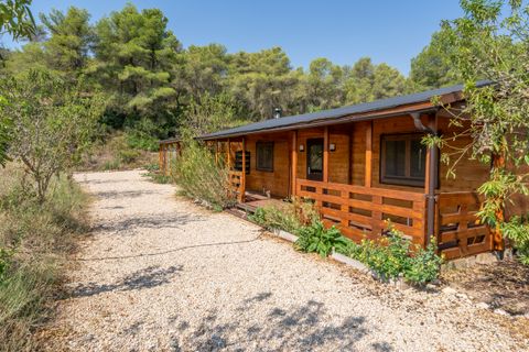 Finca i Miravet, Tarragona, Miravet - € 325.000 | Ref: 264 - foto 16