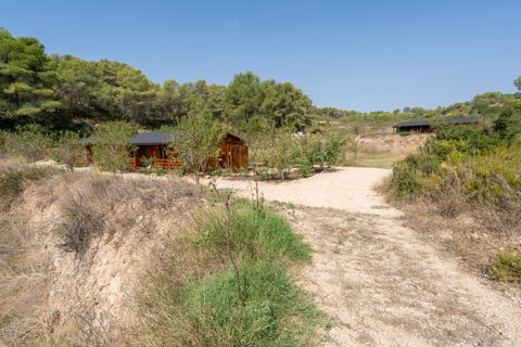 Finca i Miravet, Tarragona, Miravet - € 325.000 | Ref: 264 - foto 31