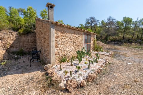 Finca i Miravet, Tarragona, Miravet - € 325.000 | Ref: 264 - foto 32