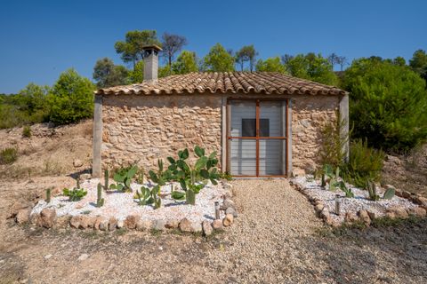 Finca i Miravet, Tarragona, Miravet - € 325.000 | Ref: 264 - foto 33