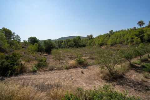 Finca i Miravet, Tarragona, Miravet - € 325.000 | Ref: 264 - foto 40