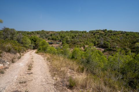 Finca i Miravet, Tarragona, Miravet - € 325.000 | Ref: 264 - foto 47