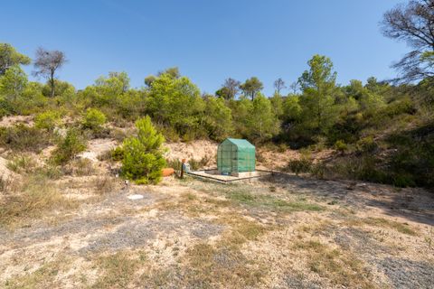 Finca i Miravet, Tarragona, Miravet - € 325.000 | Ref: 264 - foto 39