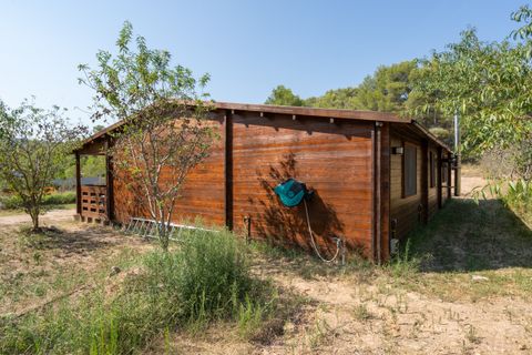 Finca i Miravet, Tarragona, Miravet - € 325.000 | Ref: 264 - foto 3