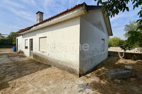 Villa a Santo Tirso, Porto, Santo Tirso - € 144.900 | Ref: ZMPT579632 - foto 3