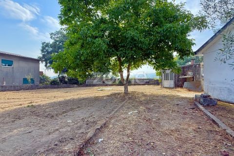 Villa a Santo Tirso, Porto, Santo Tirso - € 144.900 | Ref: ZMPT579632 - foto 7