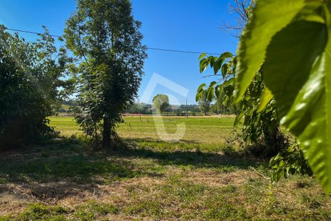 Villa a Senigallia, Ancona, Senigallia - € 195.000 | Ref: 3411 - foto 3