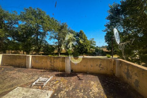 Villa a Senigallia, Ancona, Senigallia - € 195.000 | Ref: 3411 - foto 15