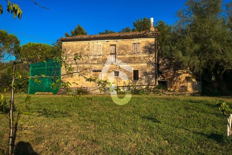 Villa a Jesi, Ancona, Jesi - € 195.000 | Ref: 3491 - foto 10