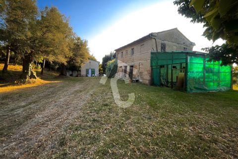 Villa a Jesi, Ancona, Jesi - € 195.000 | Ref: 3491 - foto 15