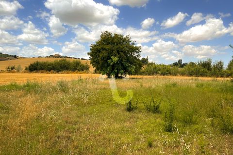 Villa a Monte Roberto, Ancona, Monte Roberto - € 95.000 | Ref: 3434 - foto 2
