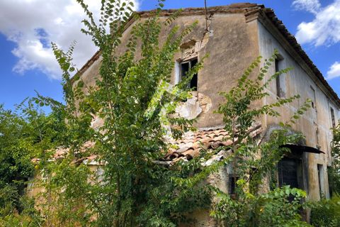 Villa a Monte Roberto, Ancona, Monte Roberto - € 95.000 | Ref: 3434 - foto 6