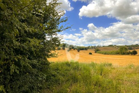 Villa a Monte Roberto, Ancona, Monte Roberto - € 95.000 | Ref: 3434 - foto 7