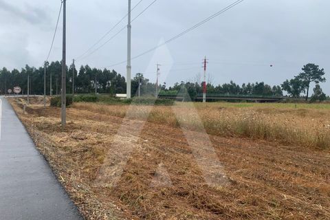 Helårsgrund i Aveiro, Aveiro, Aveiro - € 10.000 | Ref: 1012336/25 GL - foto 1