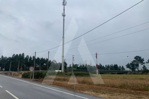 Helårsgrund i Aveiro, Aveiro, Aveiro - € 10.000 | Ref: 1012336/25 GL - foto 2