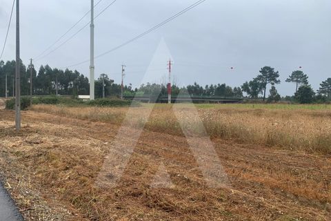 Helårsgrund i Aveiro, Aveiro, Aveiro - € 10.000 | Ref: 1012336/25 GL - foto 3