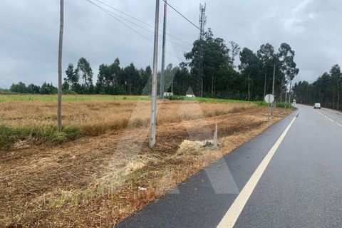 Helårsgrund i Aveiro, Aveiro, Aveiro - € 10.000 | Ref: 1012336/25 GL - foto 4