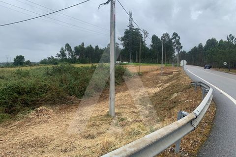 Helårsgrund i Aveiro, Aveiro, Aveiro - € 10.000 | Ref: 1012336/25 GL - foto 5