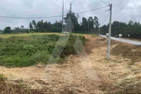 Helårsgrund i Aveiro, Aveiro, Aveiro - € 10.000 | Ref: 1012336/25 GL - foto 6