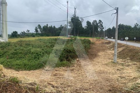 Helårsgrund i Aveiro, Aveiro, Aveiro - € 10.000 | Ref: 1012336/25 GL - foto 7