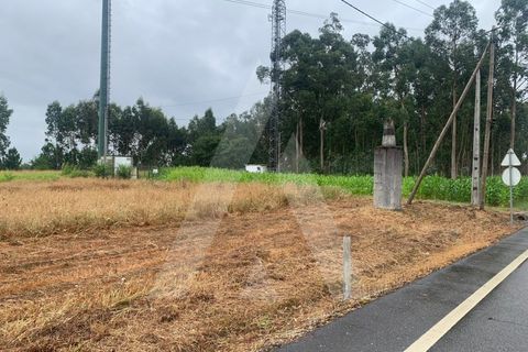 Helårsgrund i Aveiro, Aveiro, Aveiro - € 10.000 | Ref: 1012336/25 GL - foto 8