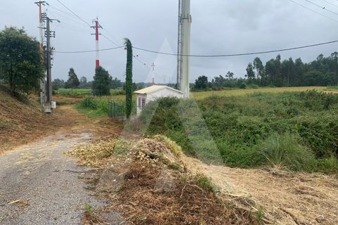 Helårsgrund i Aveiro, Aveiro, Aveiro - € 10.000 | Ref: 1012336/25 GL - foto 9