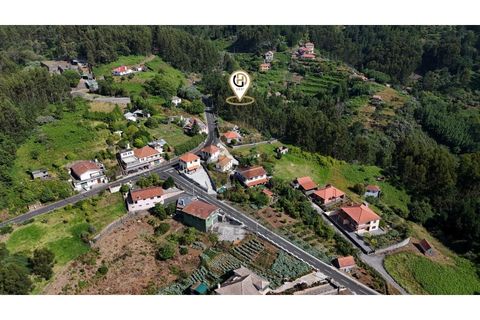 Terra a Camacha, Madeira, Camacha - € 50.000 | Ref: TER_22 - foto 2