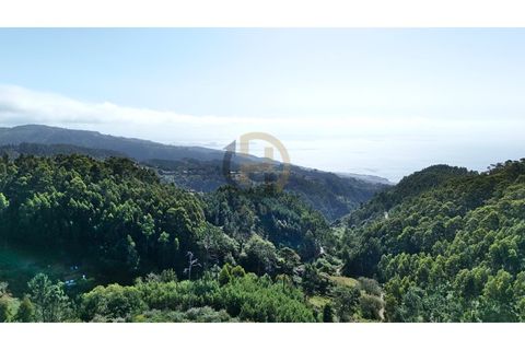 Terra a Camacha, Madeira, Camacha - € 50.000 | Ref: TER_22 - foto 6