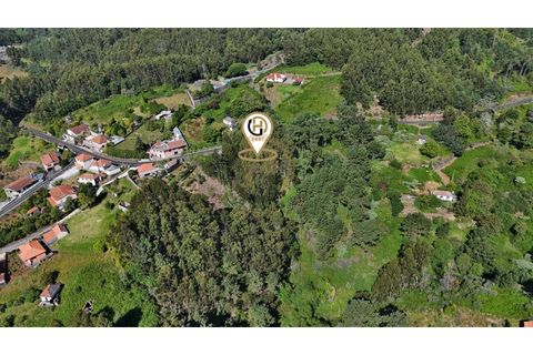 Terra a Camacha, Madeira, Camacha - € 50.000 | Ref: TER_22 - foto 7