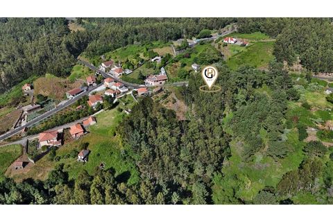 Terra a Camacha, Madeira, Camacha - € 50.000 | Ref: TER_22 - foto 8