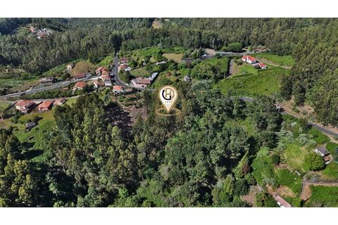 Terra a Camacha, Madeira, Camacha - € 50.000 | Ref: TER_22 - foto 9