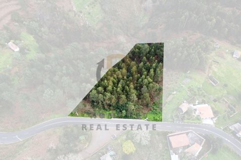 Terra a Camacha, Madeira, Camacha - € 50.000 | Ref: TER_22 - foto 14