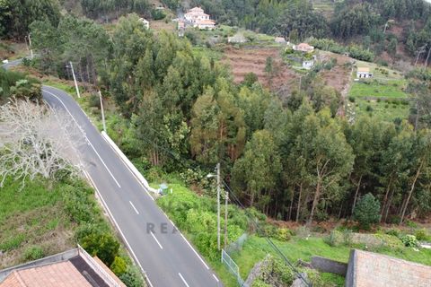 Terra a Camacha, Madeira, Camacha - € 50.000 | Ref: TER_22 - foto 17