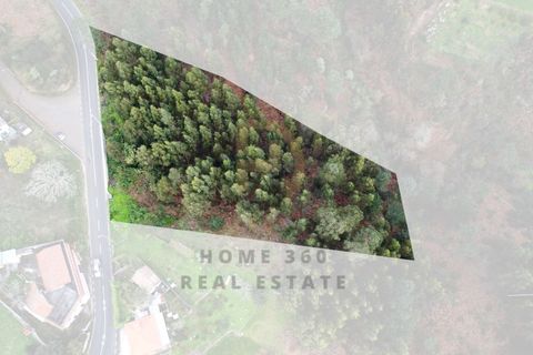 Terra a Camacha, Madeira, Camacha - € 50.000 | Ref: TER_22 - foto 18