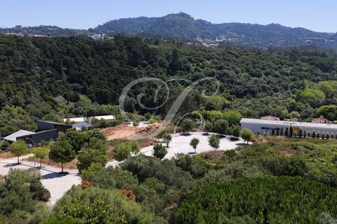 Helårsgrund i Sintra, Lisbon, Sintra - € 550.000 | Ref: 42130-1 - foto 12