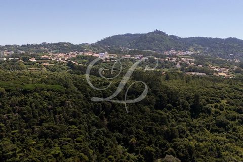 Helårsgrund i Sintra, Lisbon, Sintra - € 590.000 | Ref: 42130-2 - foto 3
