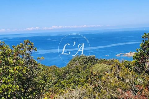 Terra a Coti-Chiavari, Corse-du-Sud, Coti-Chiavari - € 240.000 | Ref: CHAM000991POR - foto 2