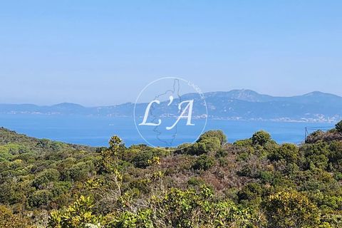 Terra a Coti-Chiavari, Corse-du-Sud, Coti-Chiavari - € 240.000 | Ref: CHAM000991POR - foto 3