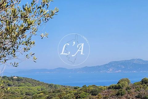 Terra a Coti-Chiavari, Corse-du-Sud, Coti-Chiavari - € 240.000 | Ref: CHAM000991POR - foto 4