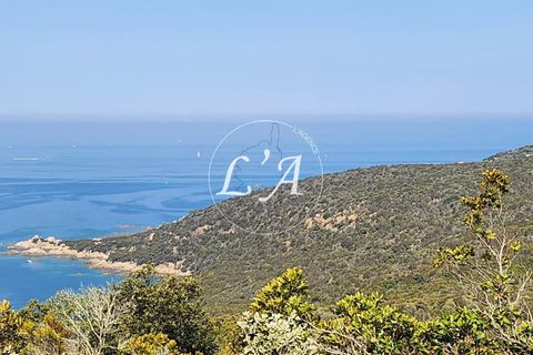Terra a Coti-Chiavari, Corse-du-Sud, Coti-Chiavari - € 240.000 | Ref: CHAM000991POR - foto 5