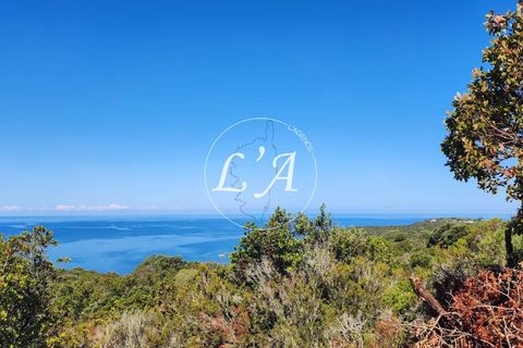 Terra a Coti-Chiavari, Corse-du-Sud, Coti-Chiavari - € 240.000 | Ref: CHAM000991POR - foto 6