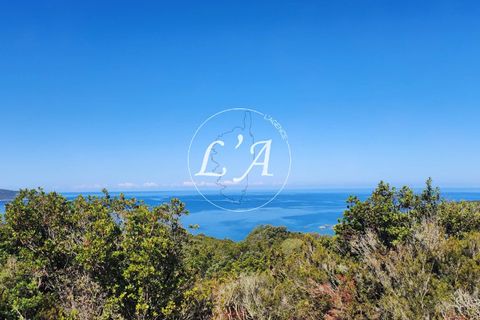 Terra a Coti-Chiavari, Corse-du-Sud, Coti-Chiavari - € 240.000 | Ref: CHAM000991POR - foto 7
