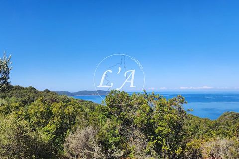 Terra a Coti-Chiavari, Corse-du-Sud, Coti-Chiavari - € 240.000 | Ref: CHAM000991POR - foto 8