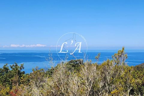 Terra a Coti-Chiavari, Corse-du-Sud, Coti-Chiavari - € 240.000 | Ref: CHAM000991POR - foto 9