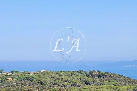 Terra a Coti-Chiavari, Corse-du-Sud, Coti-Chiavari - € 240.000 | Ref: CHAM000991POR - foto 11